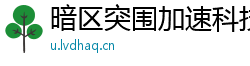 暗区突围加速科技：提升游戏体验的利器